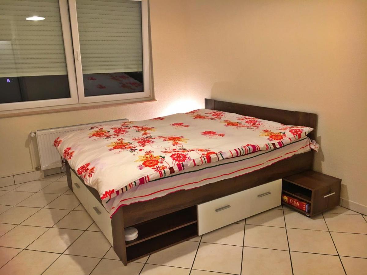 לוקסמבורג Cozy Studio Apart - King Bed - Netflix - Projector - Fast Wi-Fi מראה חיצוני תמונה